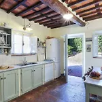 Casa Rosa By Salogi